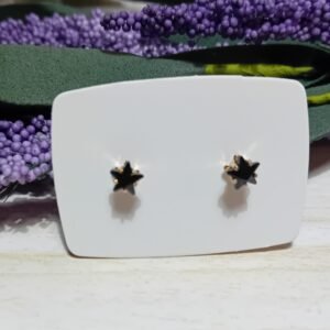 ΣΚΟΥΛΑΡΙΚΙ ΑΣΤΕΡΙ ΜΑΥΡΟ